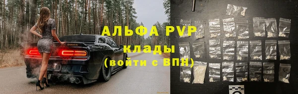 ешки Белокуриха