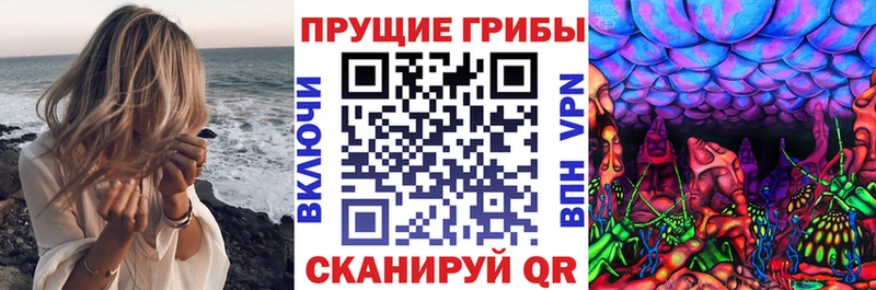 MEGA как войти  где можно купить наркотик  Малоярославец  Псилоцибиновые грибы Cubensis 